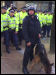 Police on the EDL demonstration in Bolton